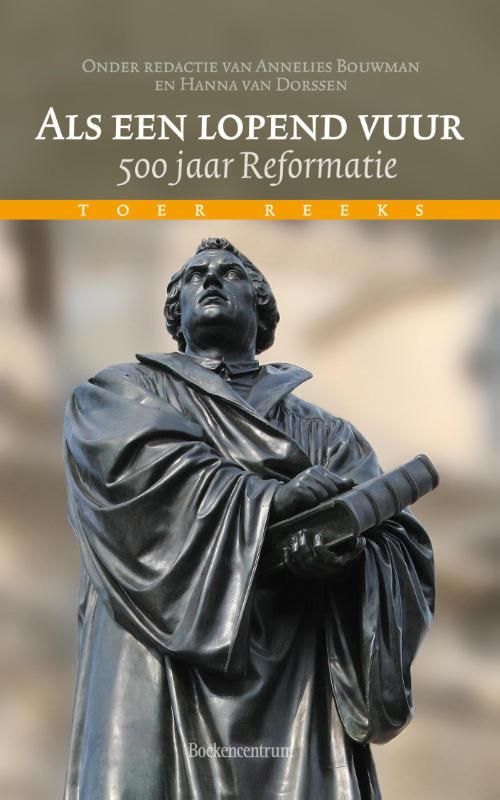 Omslag van Als een lopend vuur