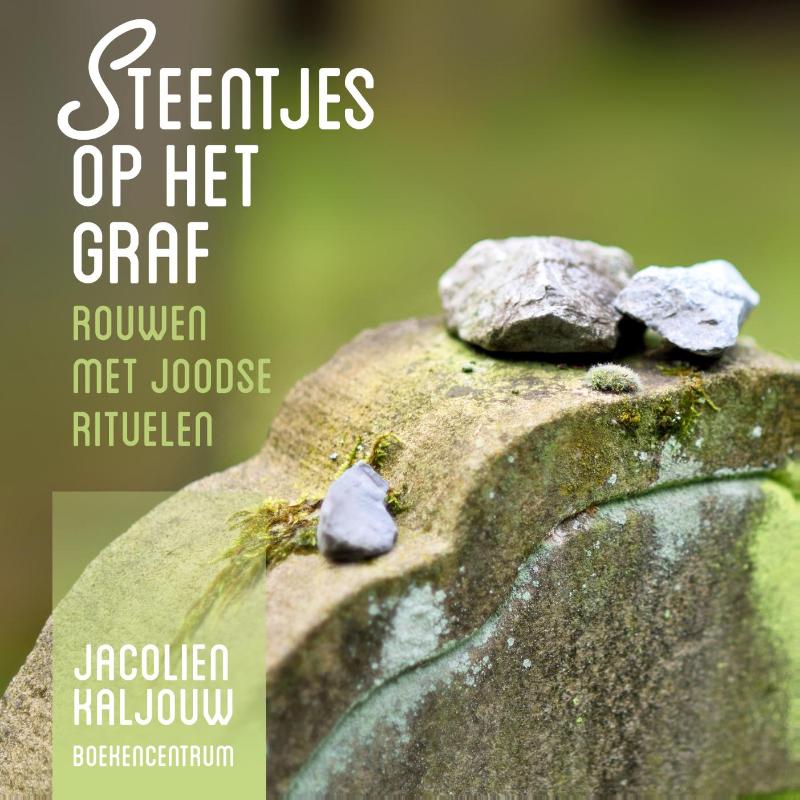 Omslag van Steentjes op het graf