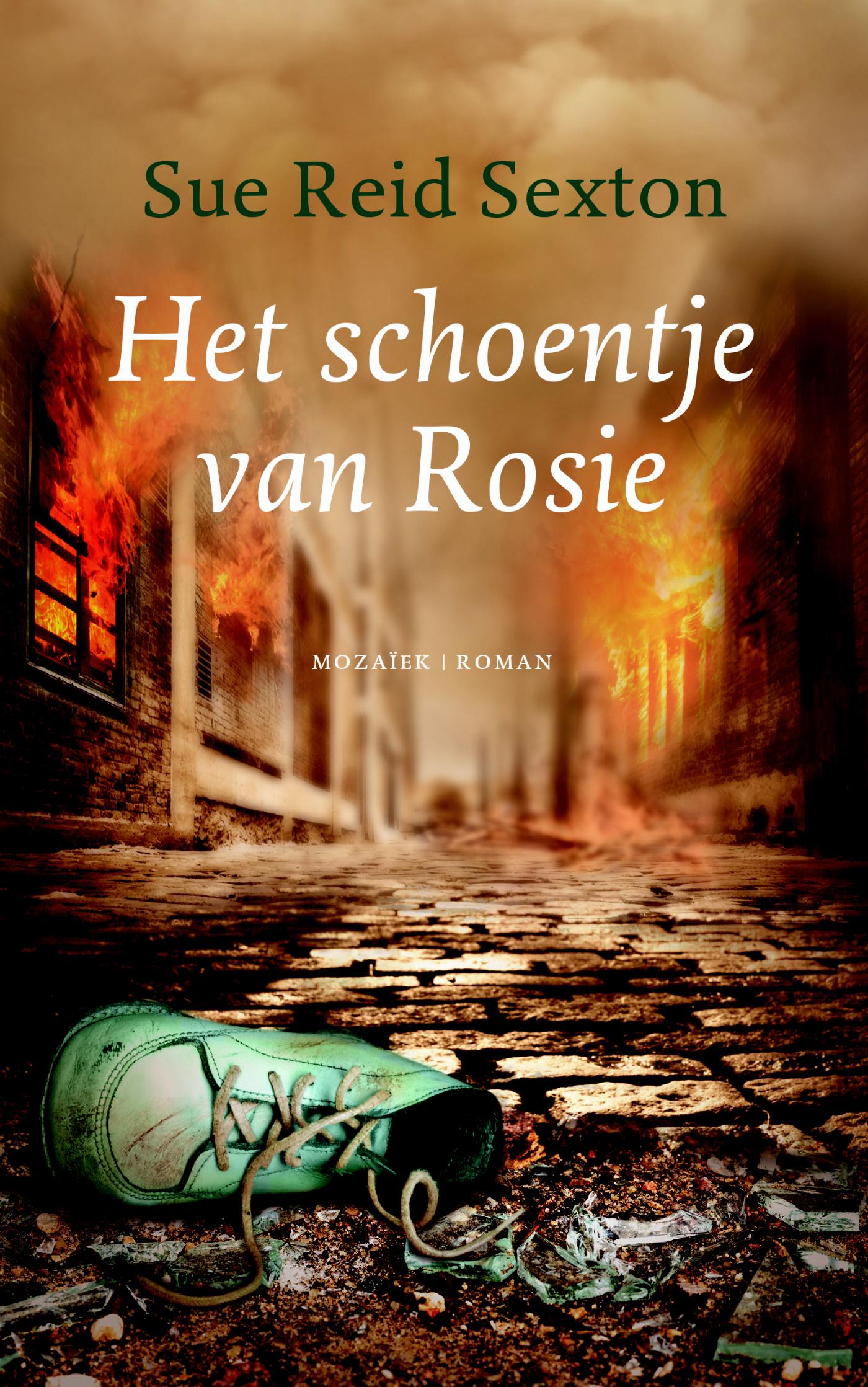 Omslag van Het schoentje van Rosie