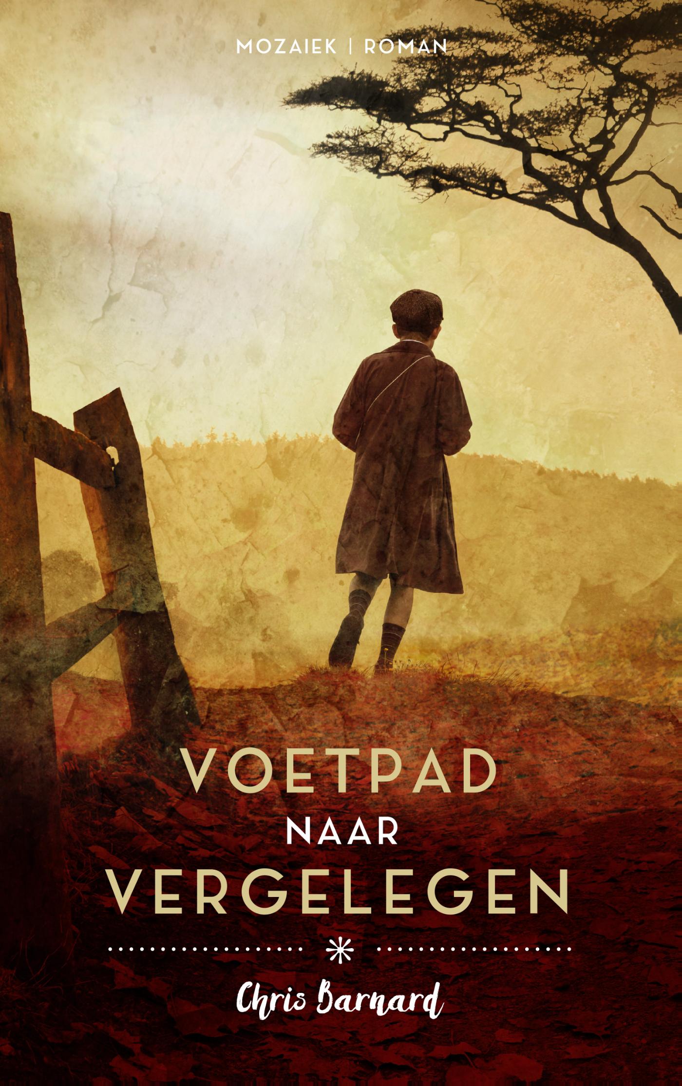 Omslag van Voetpad naar Vergelegen