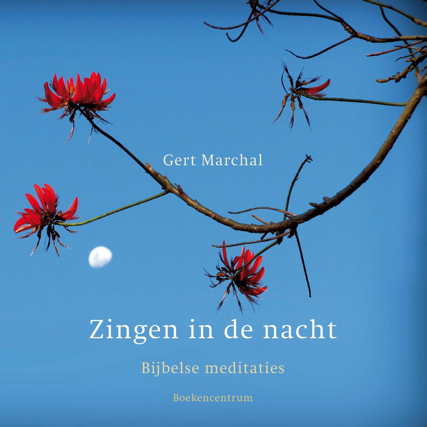 Omslag van Zingen in de nacht