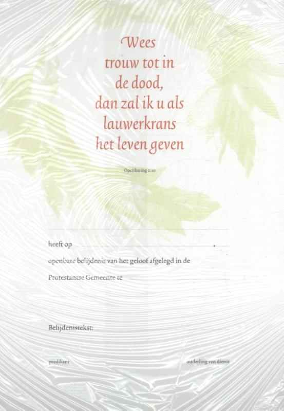 Omslag van Belijdeniskaart 302