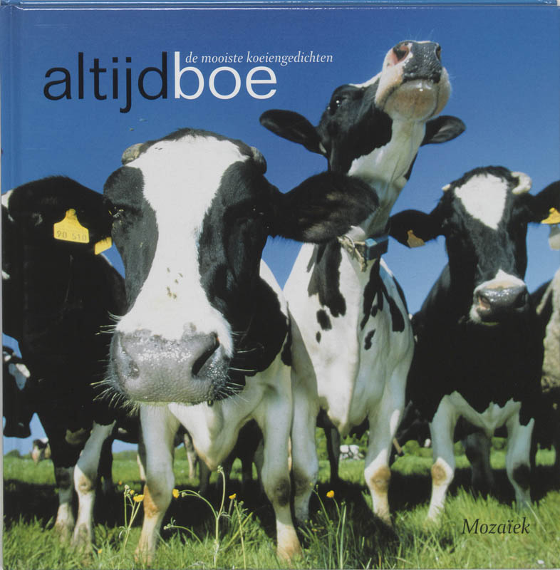 Omslag van Altijd boe