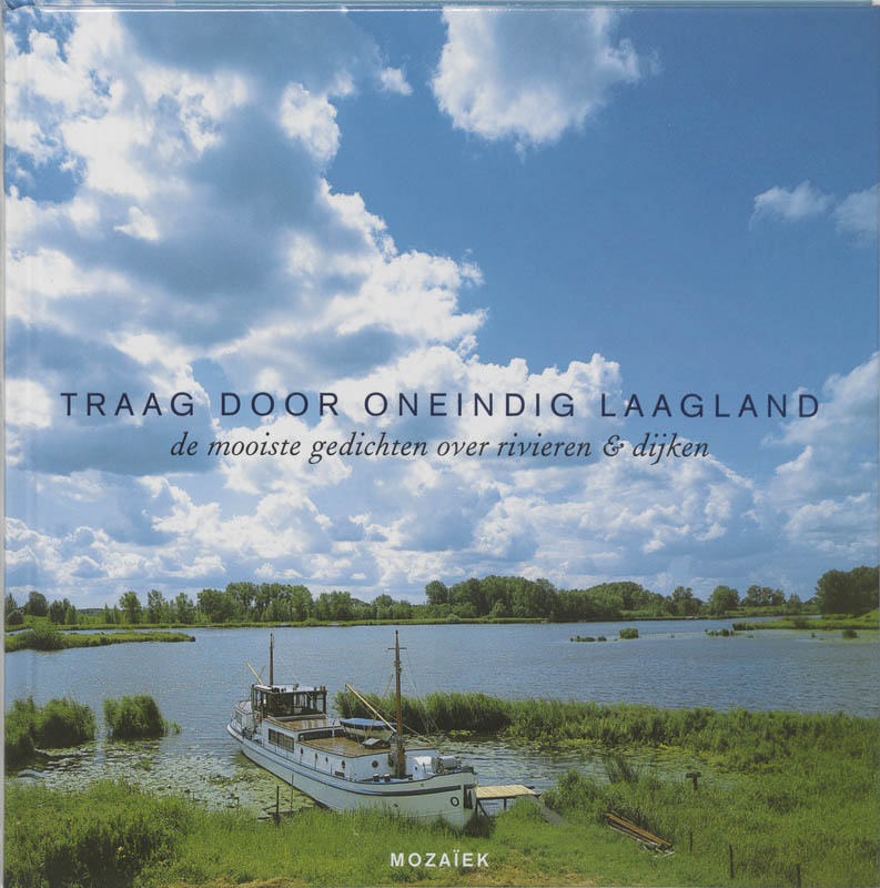 Omslag van Traag door oneindig laagland