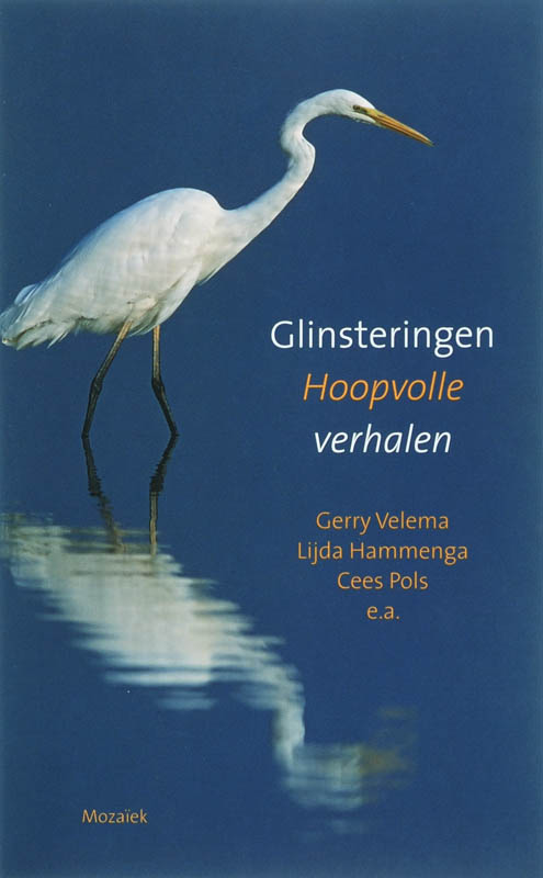 Omslag van Glinsteringen