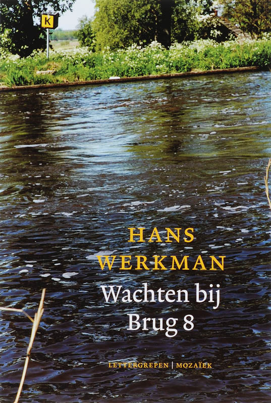Omslag van Wachten bij Brug 8