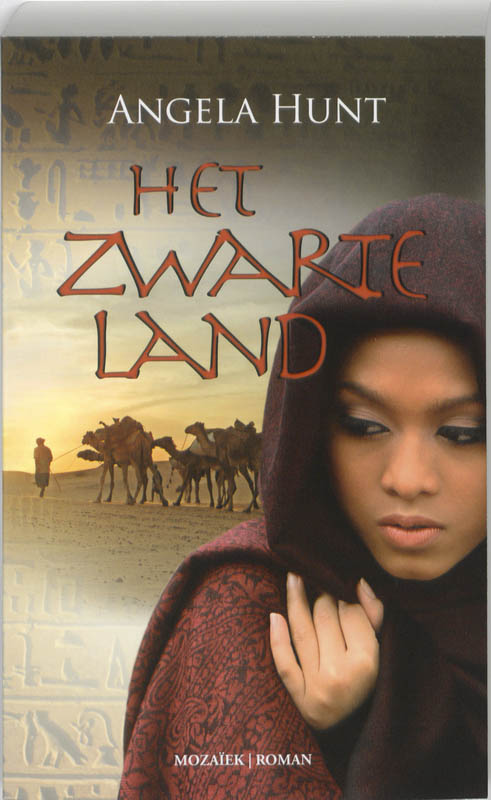 Omslag van Het zwarte land