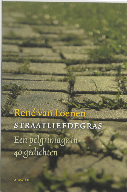 Omslag van Straatliefdegras