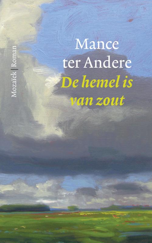 Omslag van De hemel is van zout