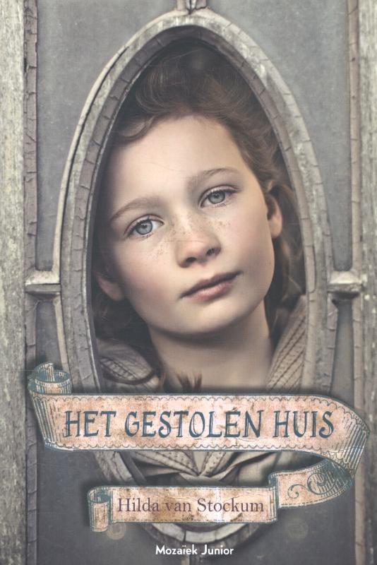 Omslag van Het gestolen huis