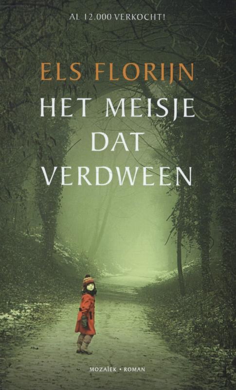Omslag van Het meisje dat verdween