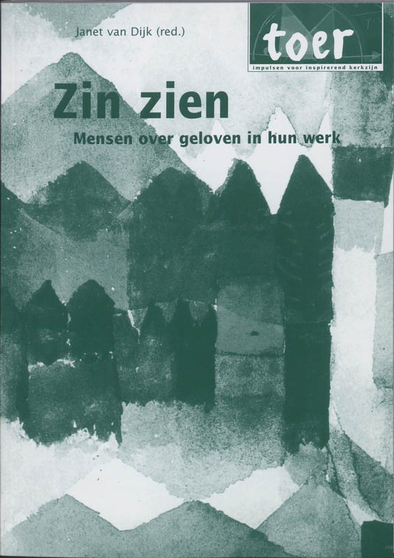 Omslag van Zin zien