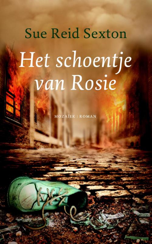Omslag van Het schoentje van Rosie
