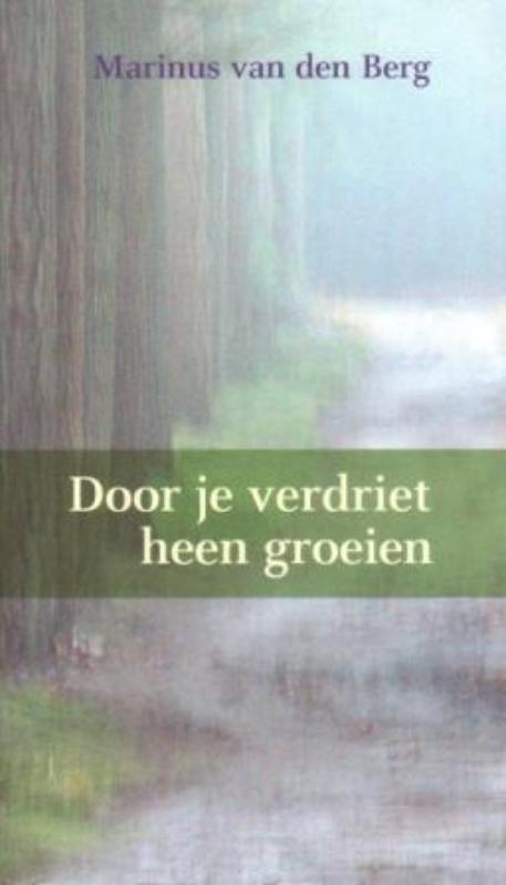 Omslag van Door je verdriet heen groeien