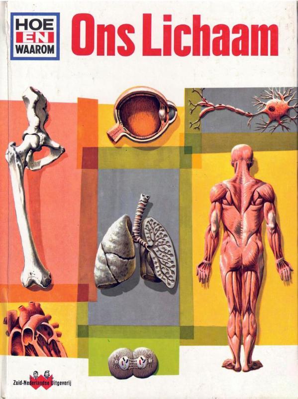 Omslag van Hoe en waarom boek ons lichaam