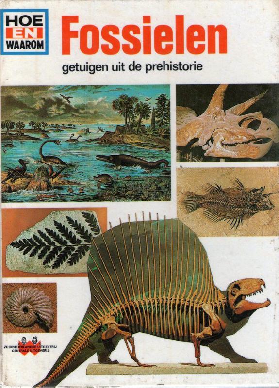 Omslag van Fossielen