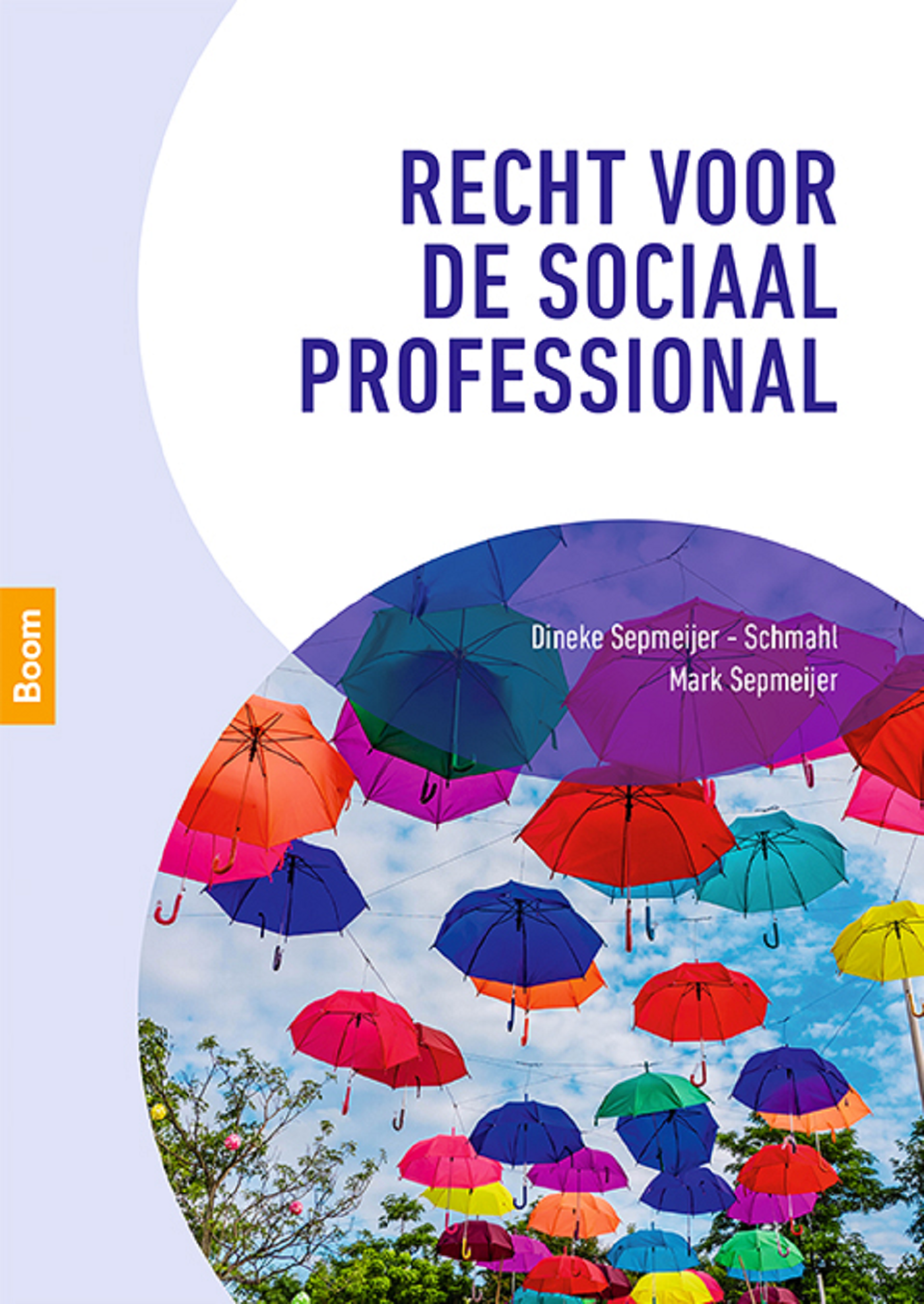 Omslag van Recht voor de sociaal professional