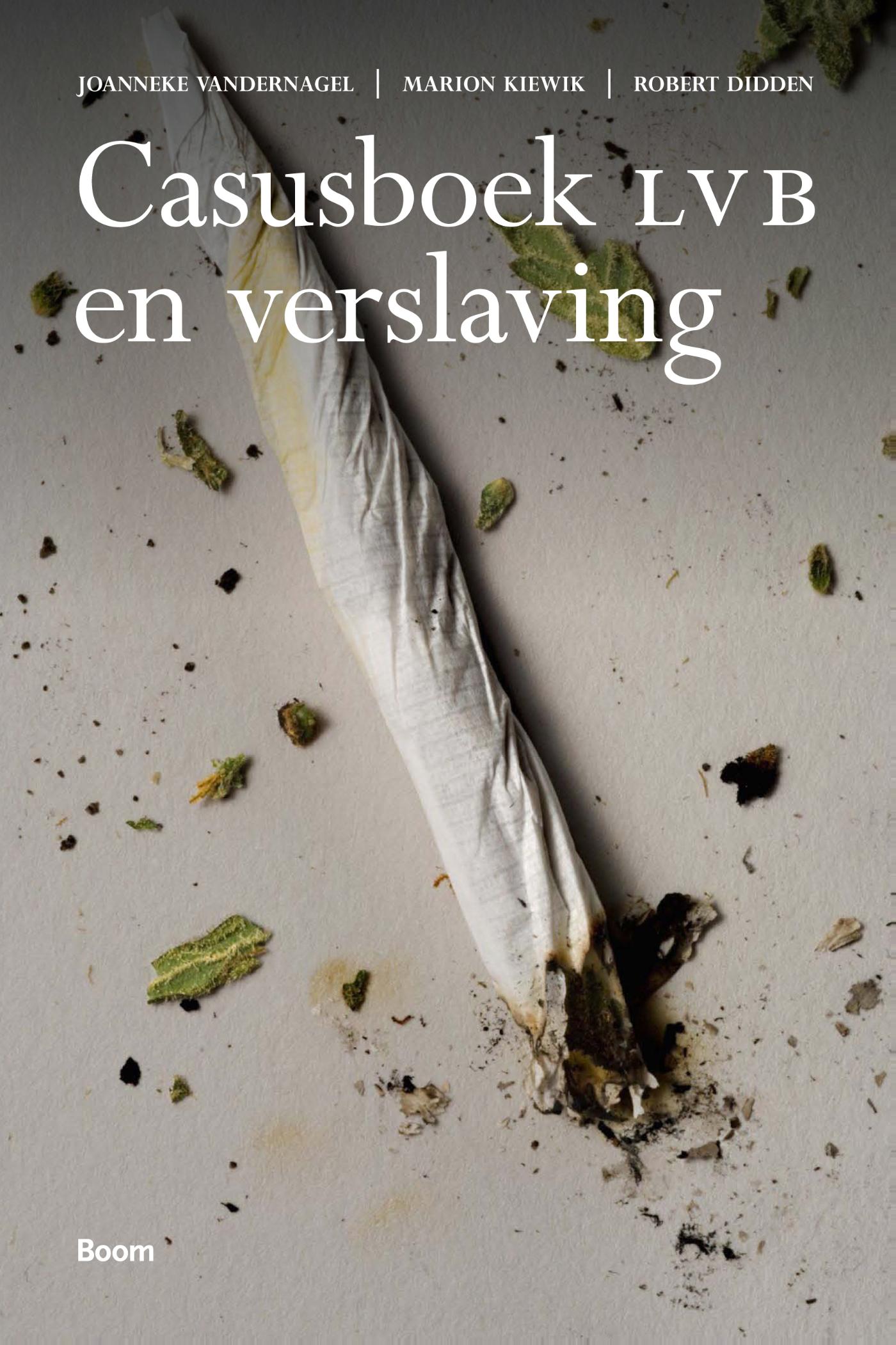 Omslag van Casusboek LVB en verslaving