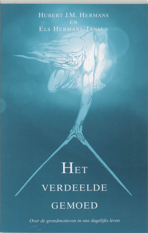 Omslag van Het verdeelde gemoed