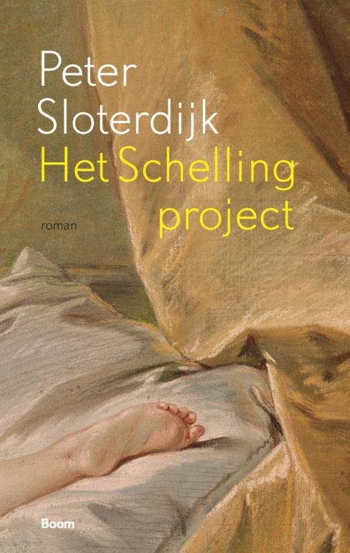 Omslag van Het Schelling-project