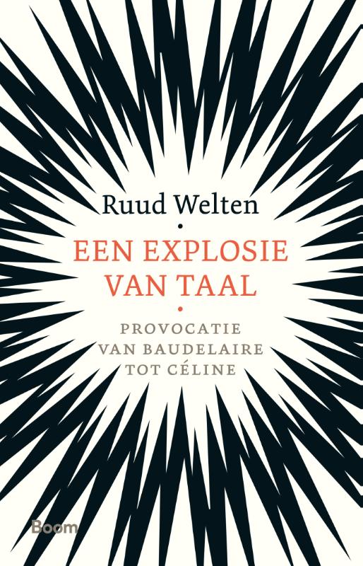 Omslag van Een explosie van taal