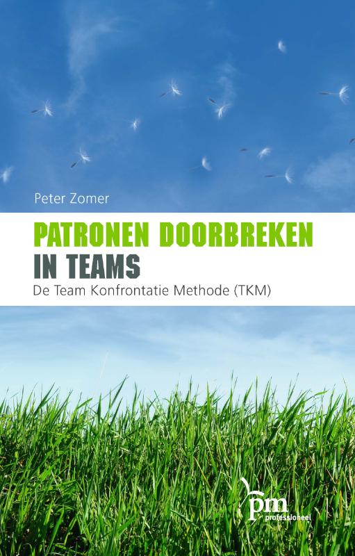 Omslag van Patronen doorbreken in teams