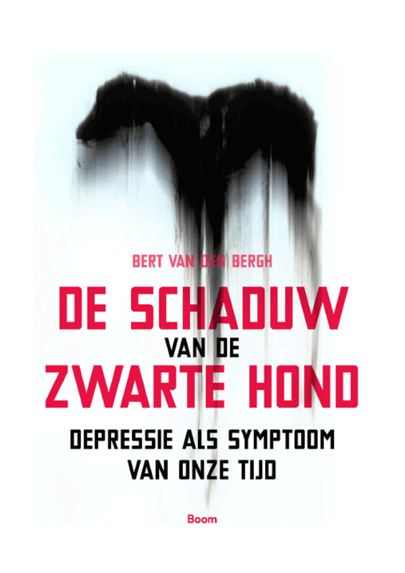 Omslag van De schaduw van de zwarte hond