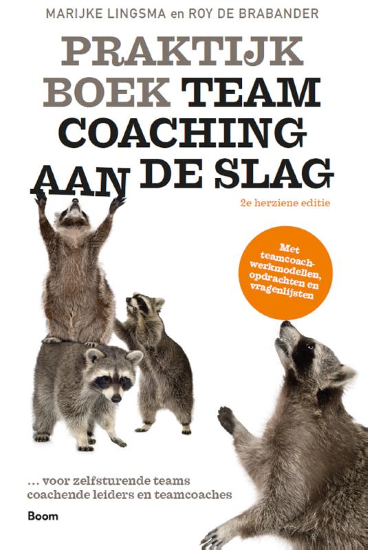 Omslag van Praktijkboek Teamcoaching, aan de slag