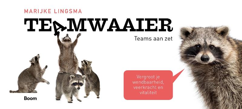 Omslag van Teamwaaier