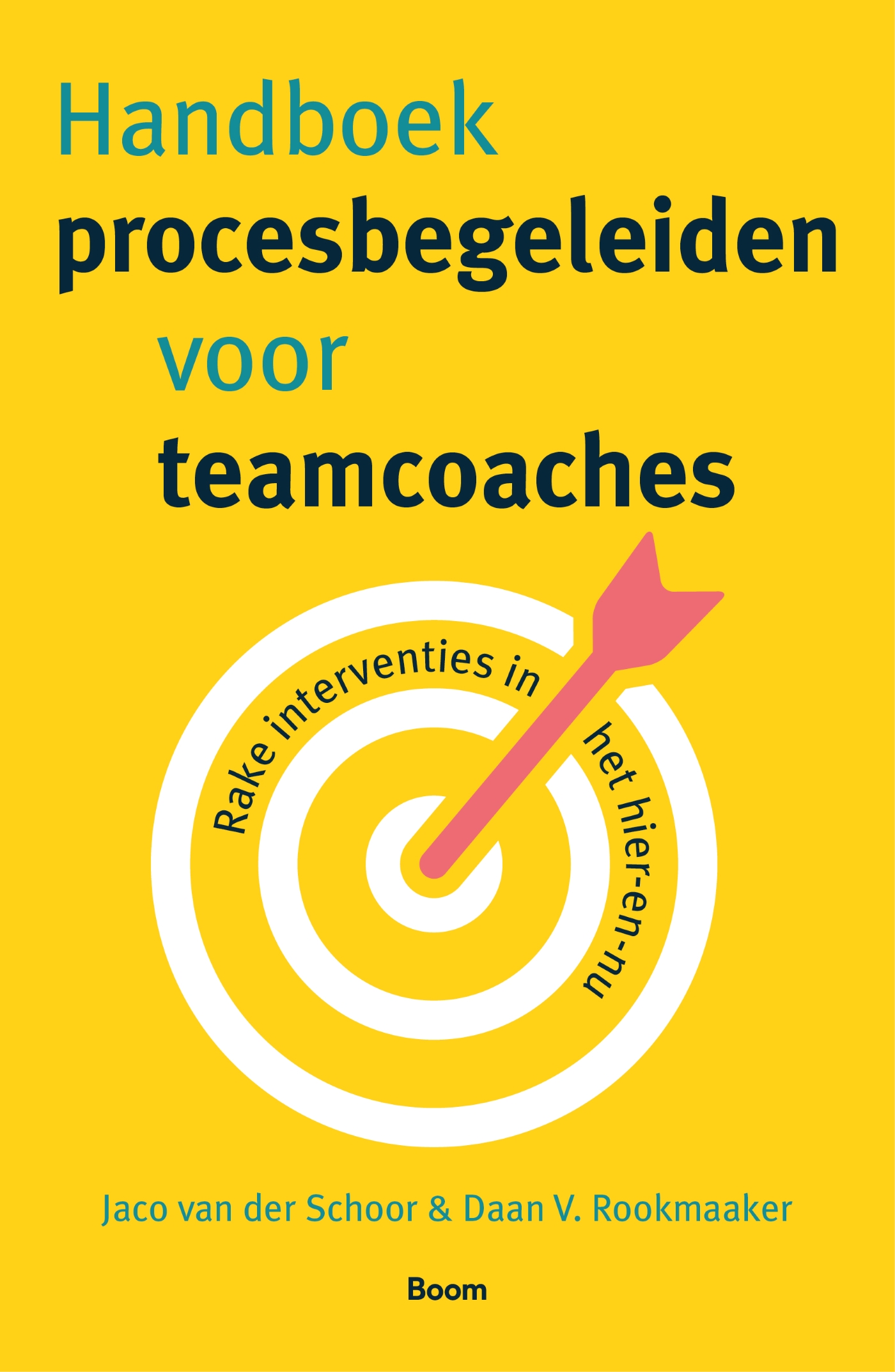 Omslag van Handboek procesbegeleiden voor teamcoaches