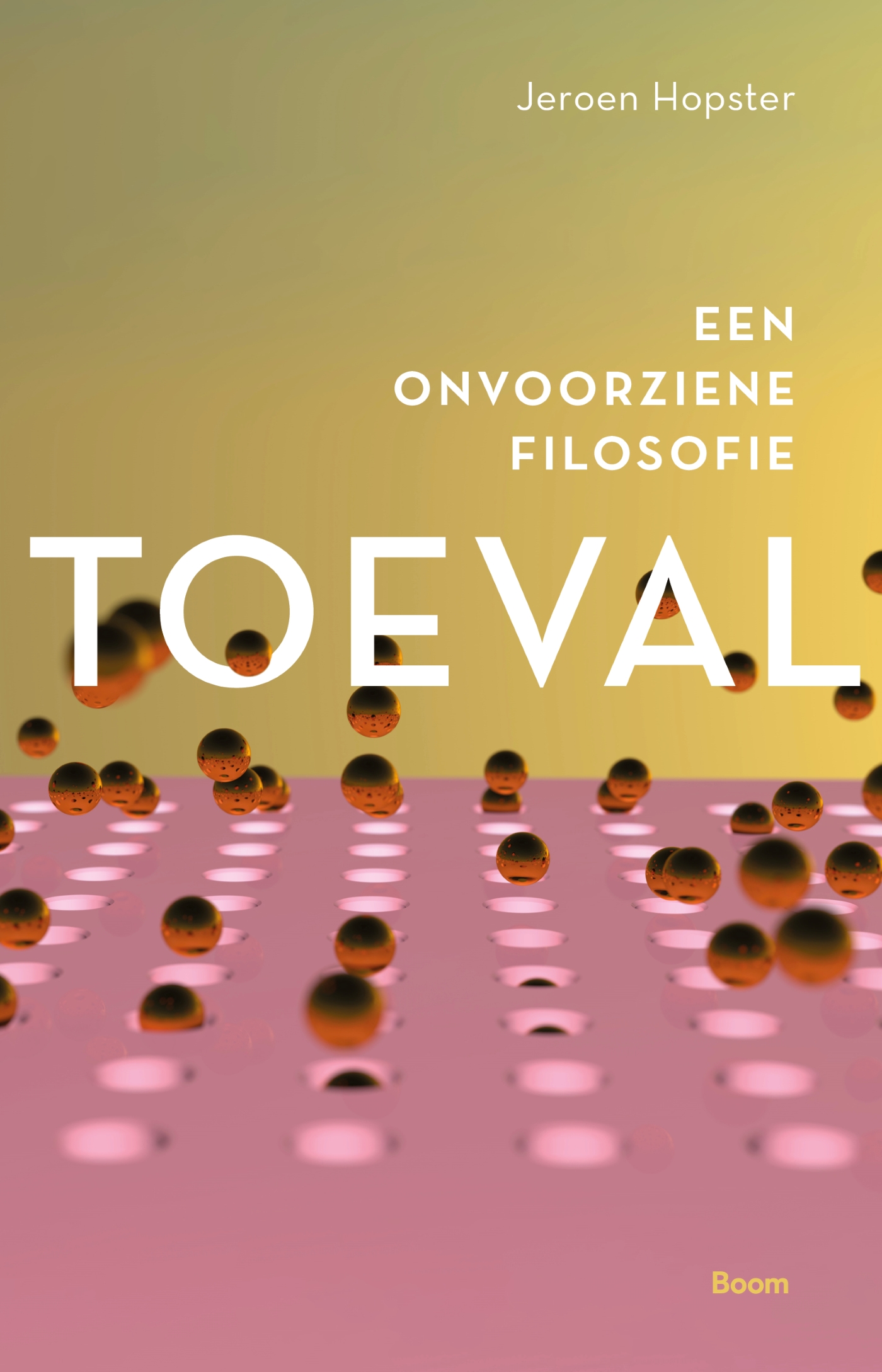 Omslag van Toeval