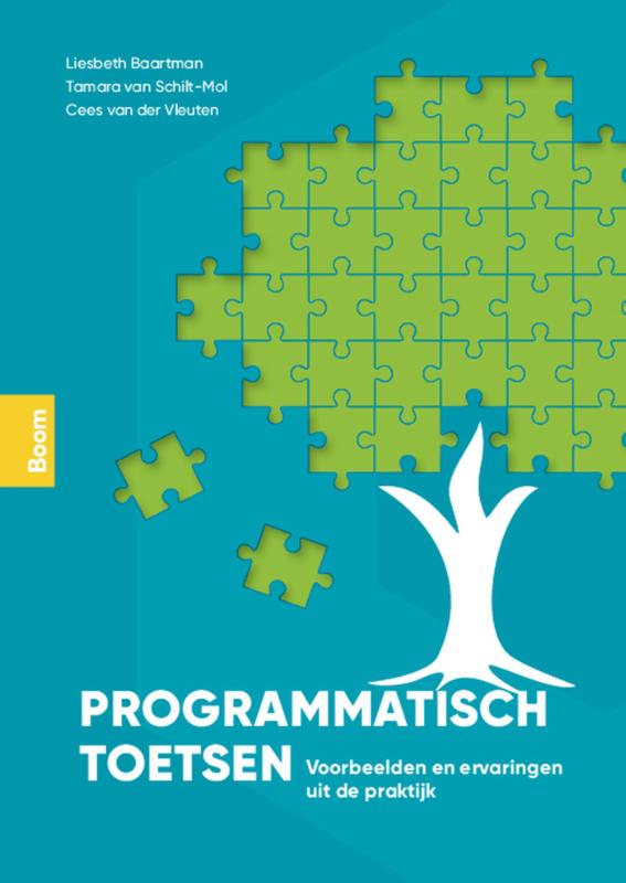 Omslag van Programmatisch toetsen