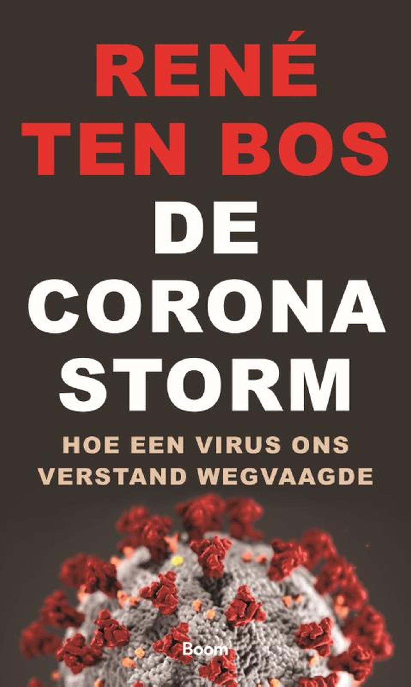 Omslag van De coronastorm