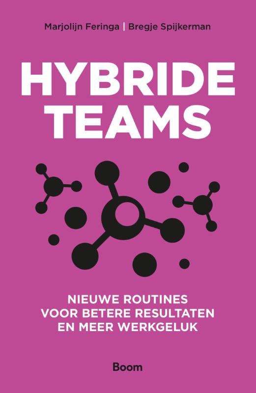 Omslag van Hybride teams