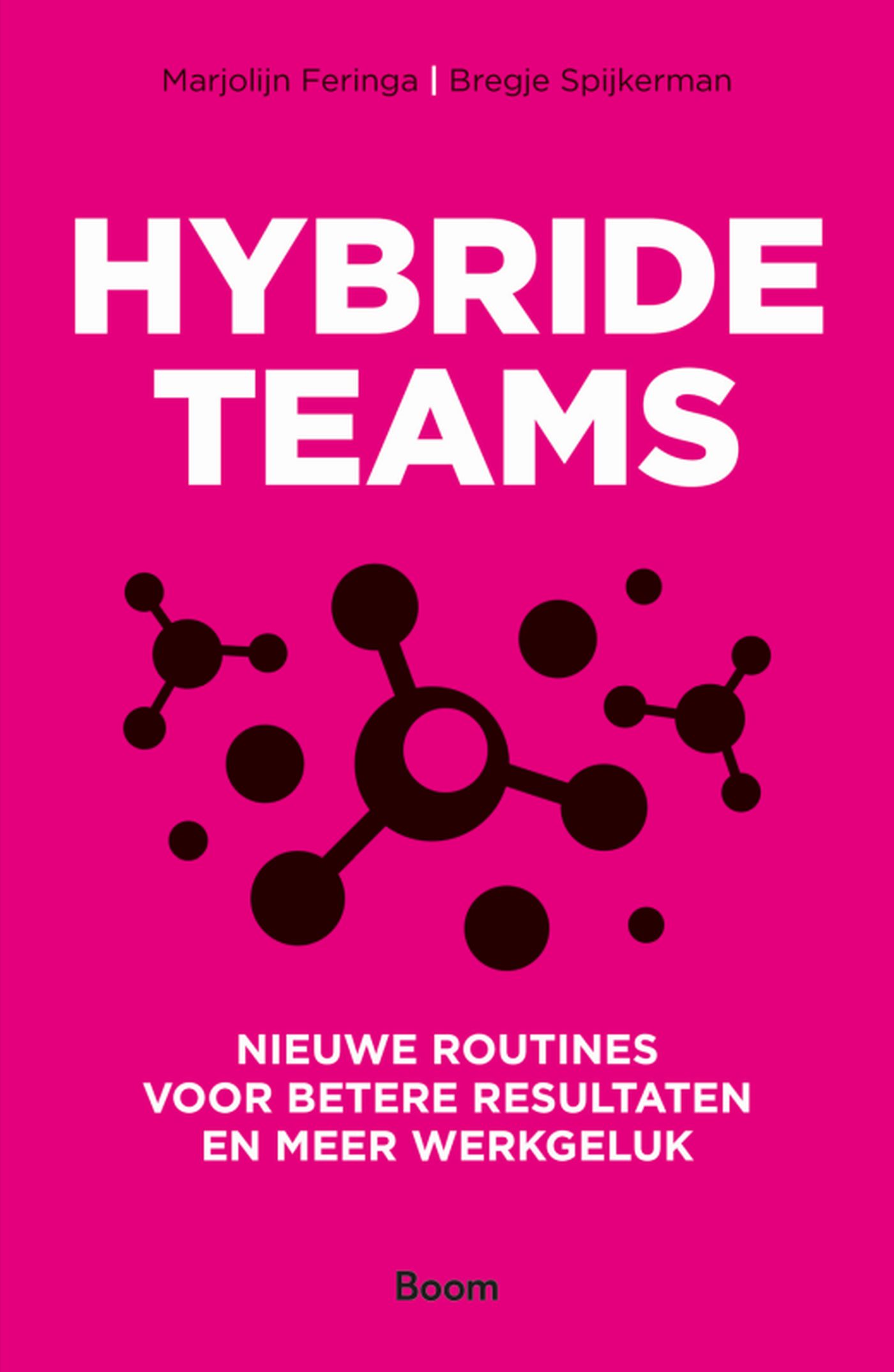 Omslag van Hybride teams