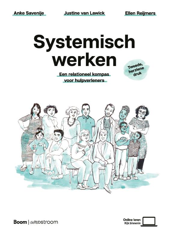 Omslag van Systemisch werken