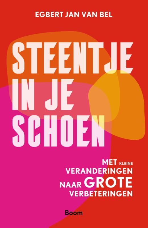 Omslag van Steentje in je schoen