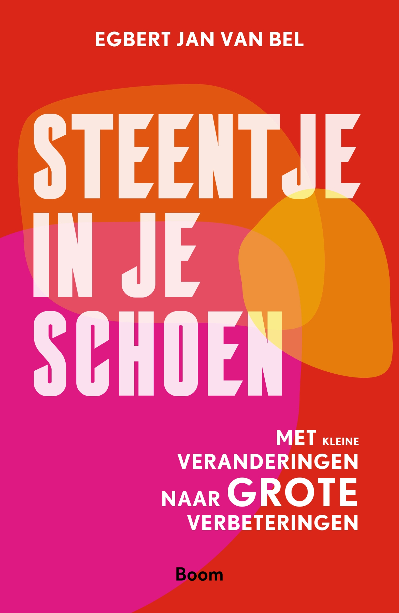 Omslag van Steentje in je schoen