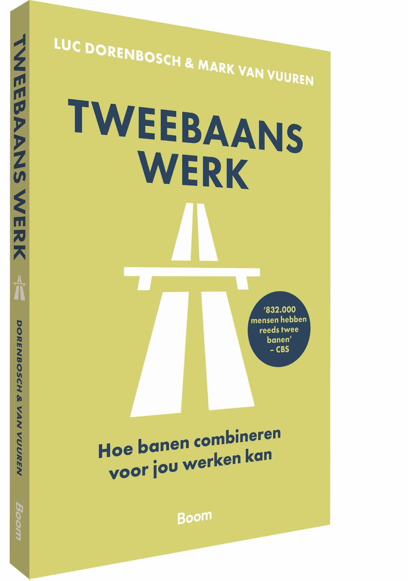 Omslag van Tweebaans werk