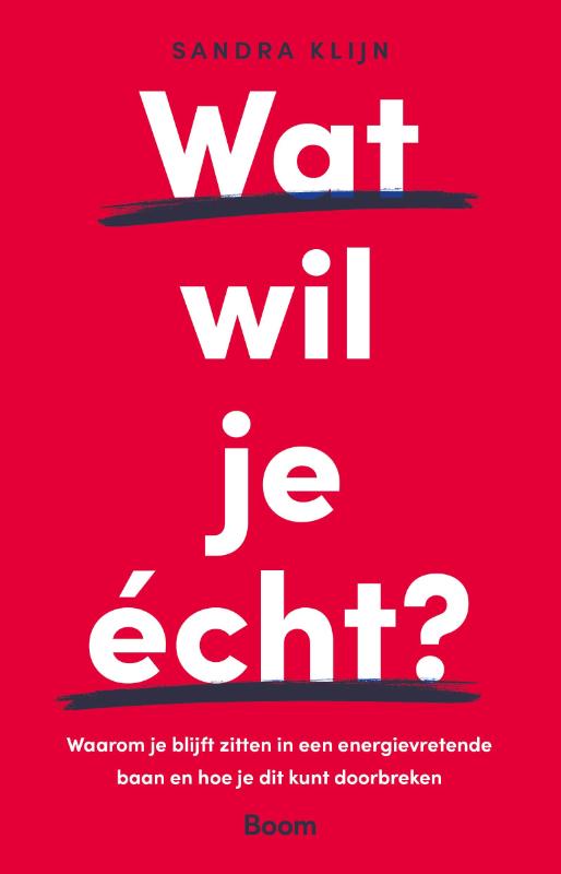 Omslag van Wat wil je écht?
