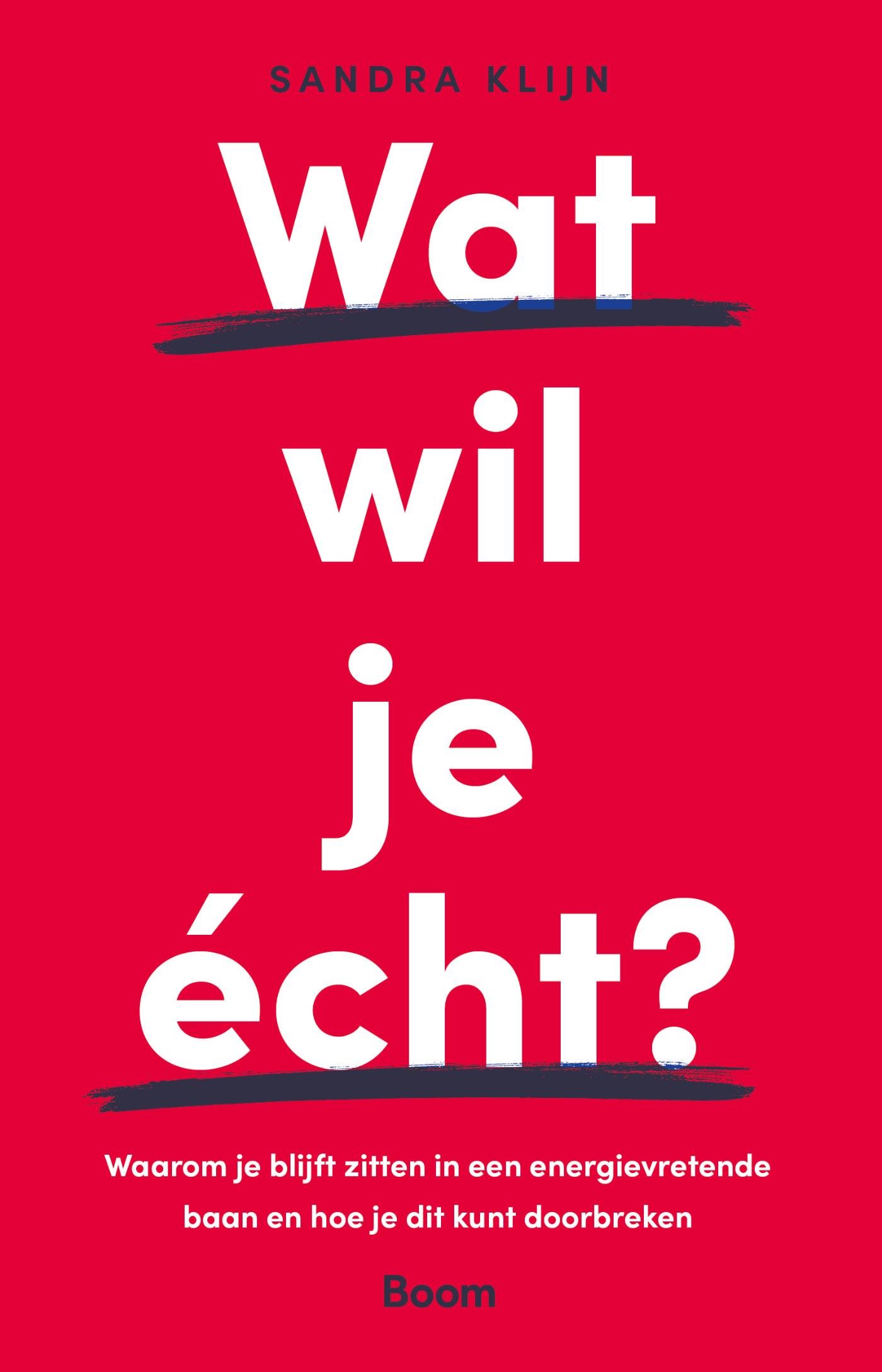 Omslag van Wat wil je écht?