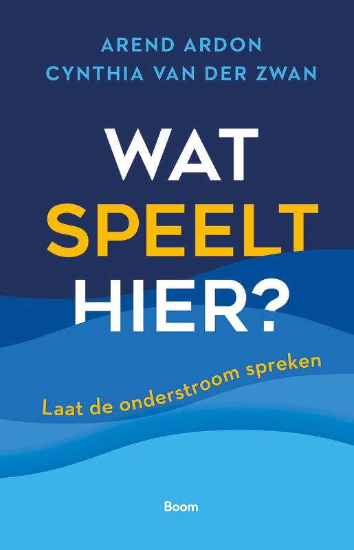 Omslag van Wat speelt hier?