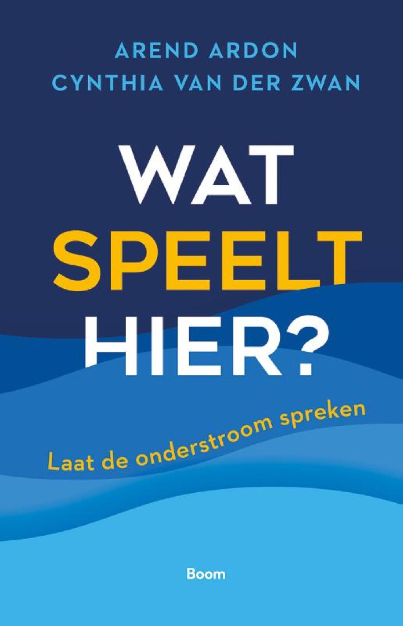 Omslag van Wat speelt hier?