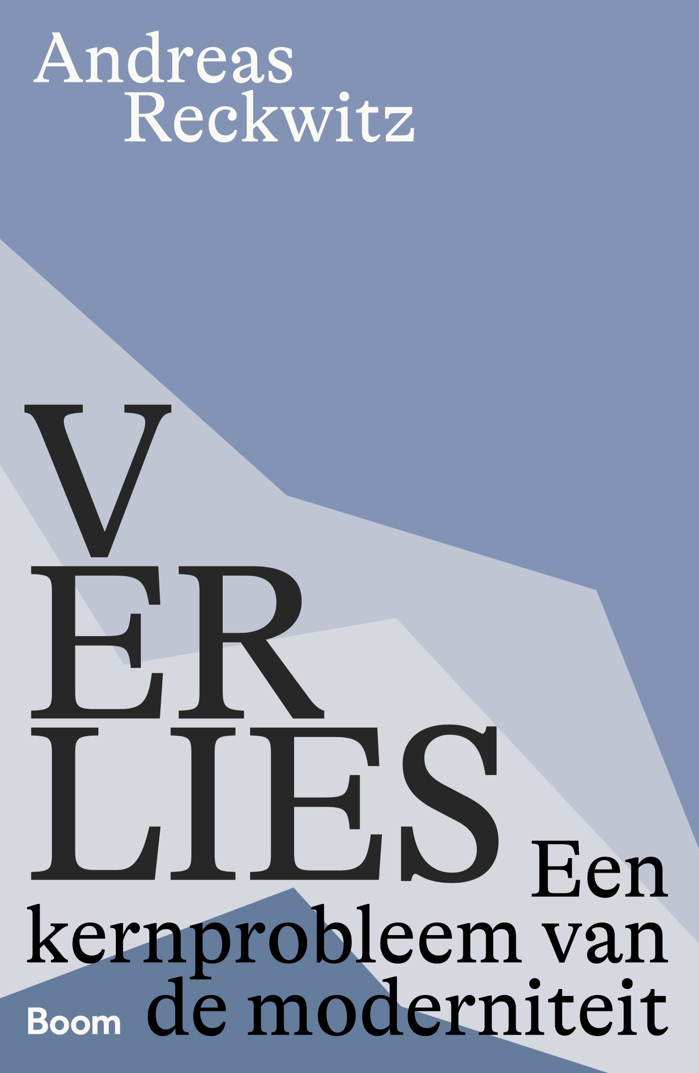 Omslag van Verlies