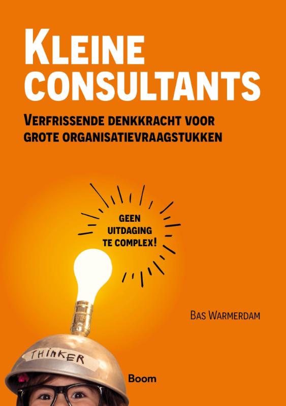 Omslag van Kleine consultants