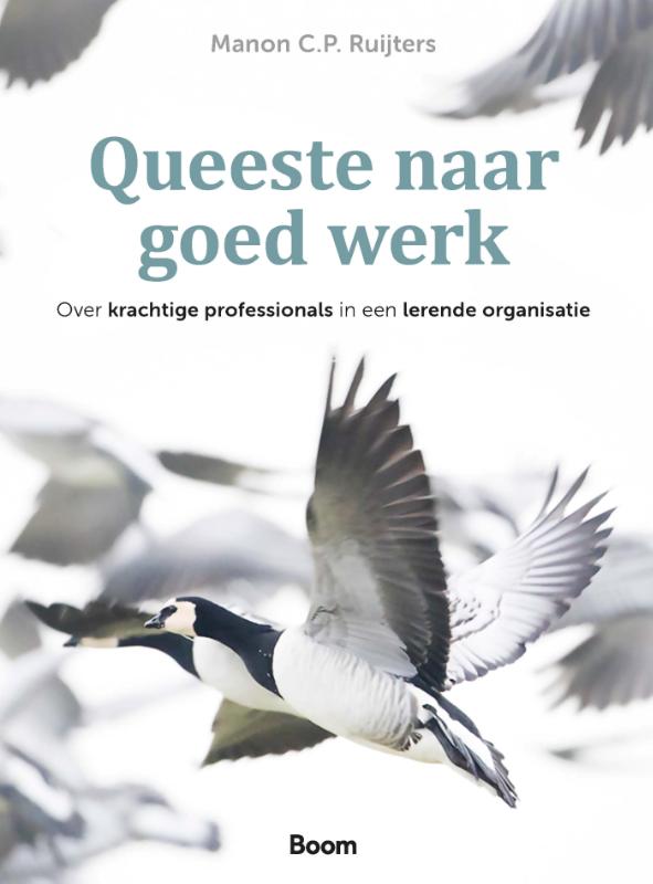 Omslag van Queeste naar goed werk