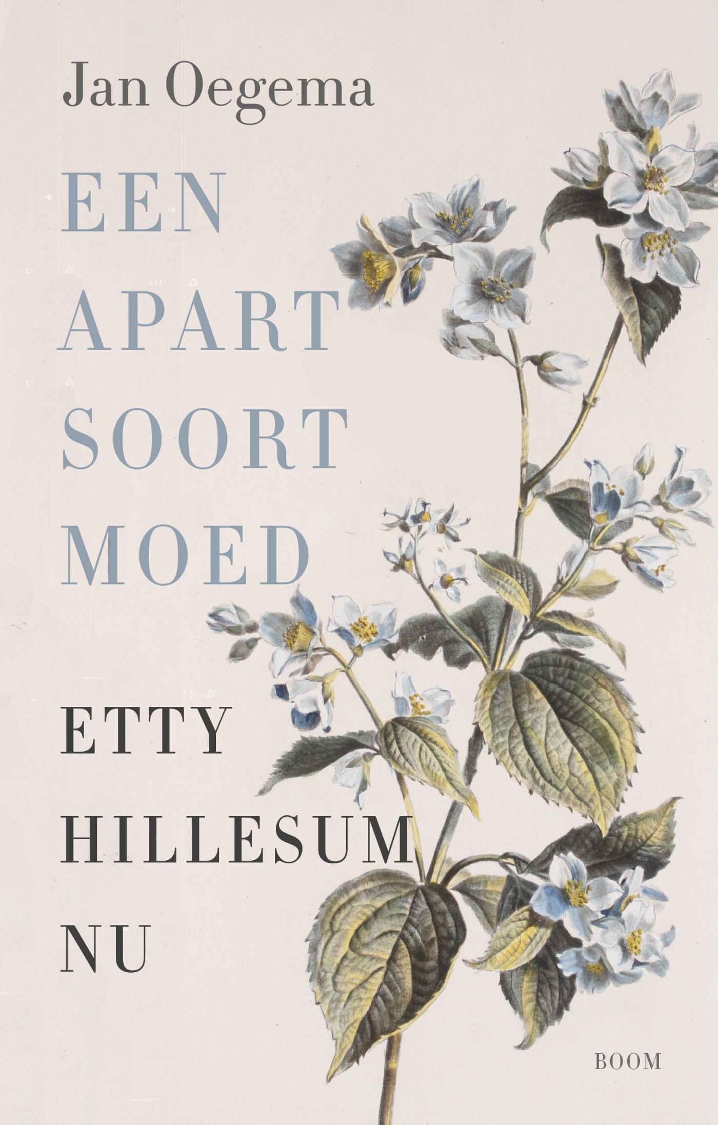 Omslag van Een apart soort moed