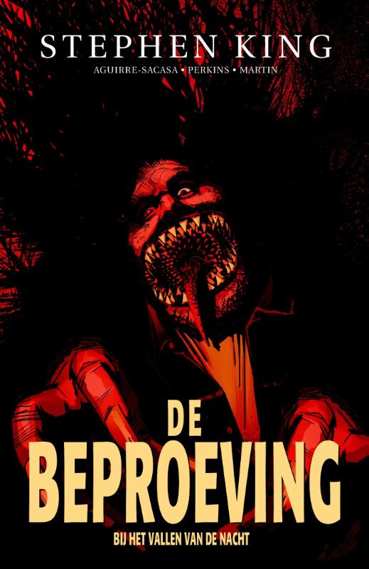 Omslag van Bij het vallen van de nacht