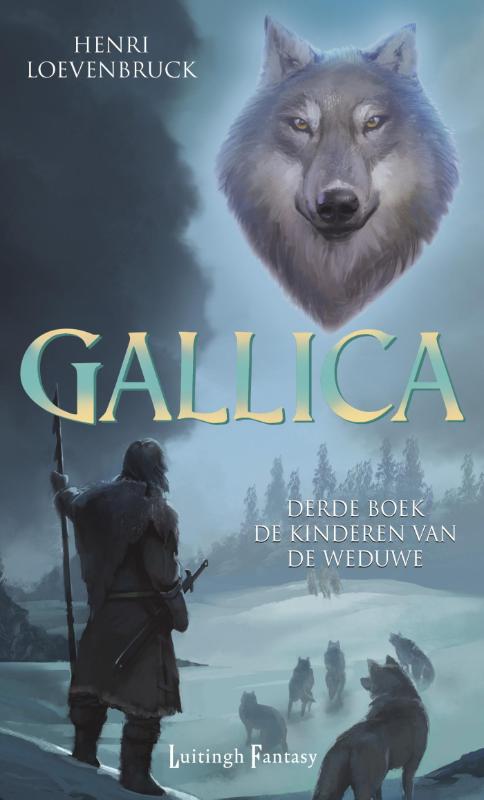 Omslag van De kinderen van de weduwe