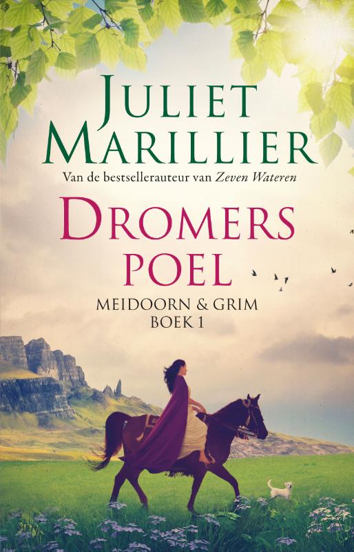 Omslag van Dromerspoel